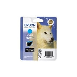 EPSON (T09624010)