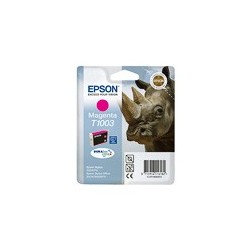 EPSON (T10034010)