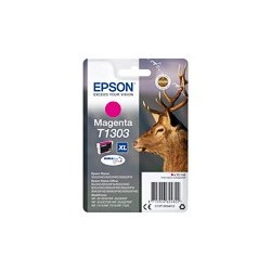 EPSON (T13034012)