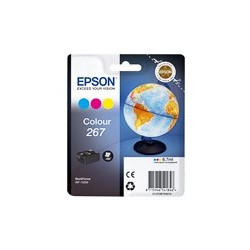 EPSON (T26704010)
