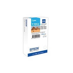 EPSON (T70124010)