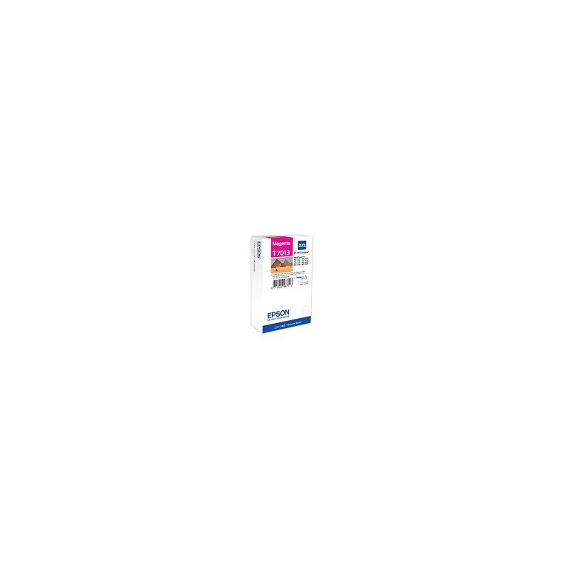 EPSON (T70134010)